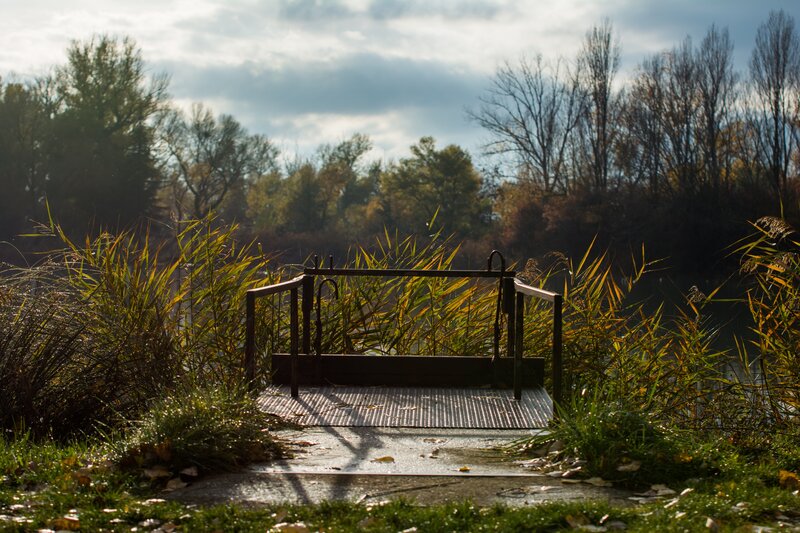 Metal Bench by Lake