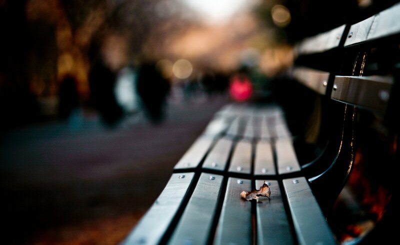 Metal Bench with Leaf