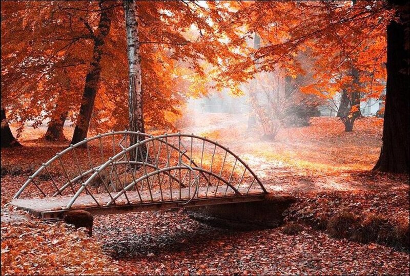 Metal Bridge in Autumn