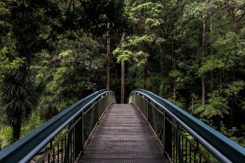 Metal Bridge in Forest — Green, Serene