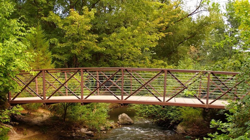 Metal Bridge over Stream