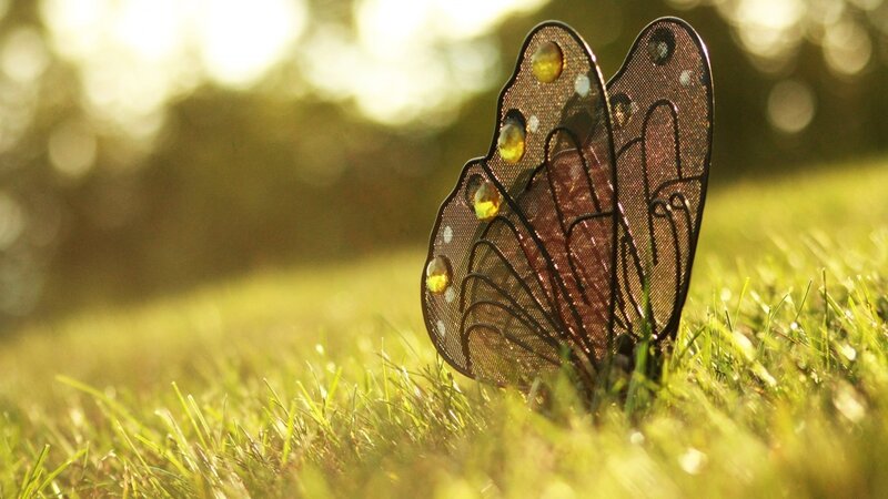 Metal Butterfly Sculpture — Green, Serene, Sunset