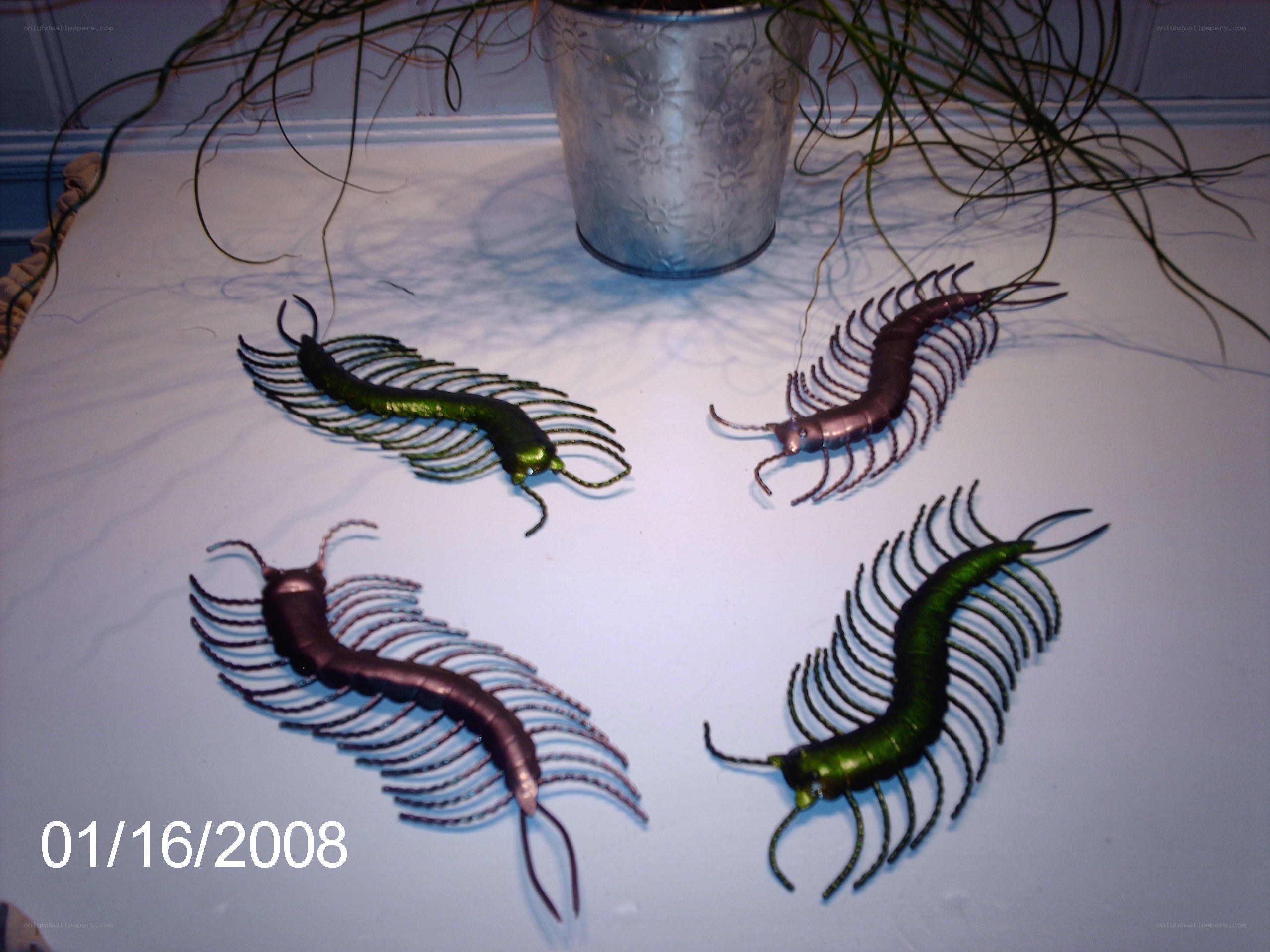 Metal centipede sculptures
