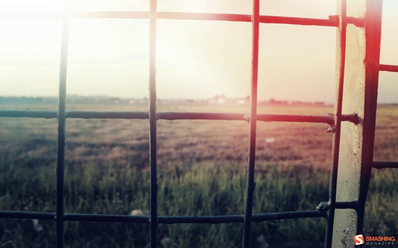 Metal Fence in Field