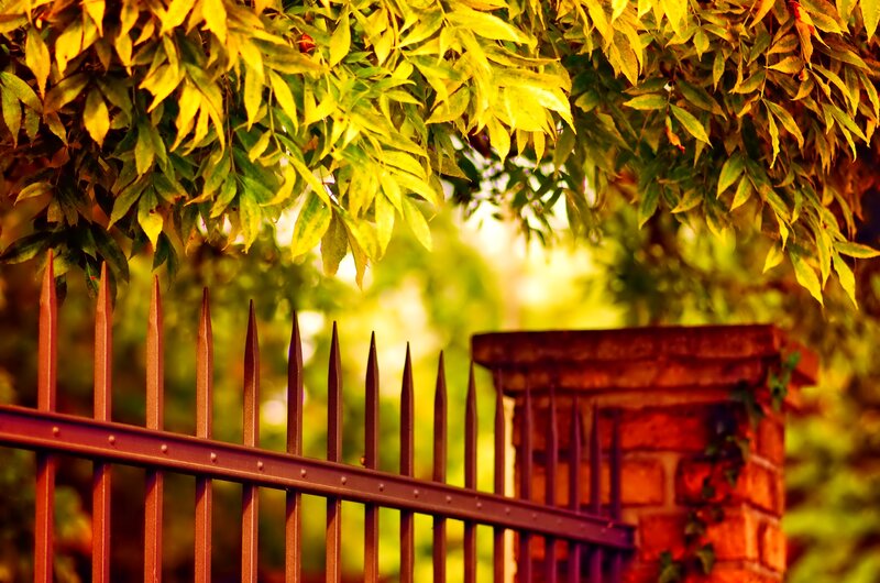Metal Fence with Leaves