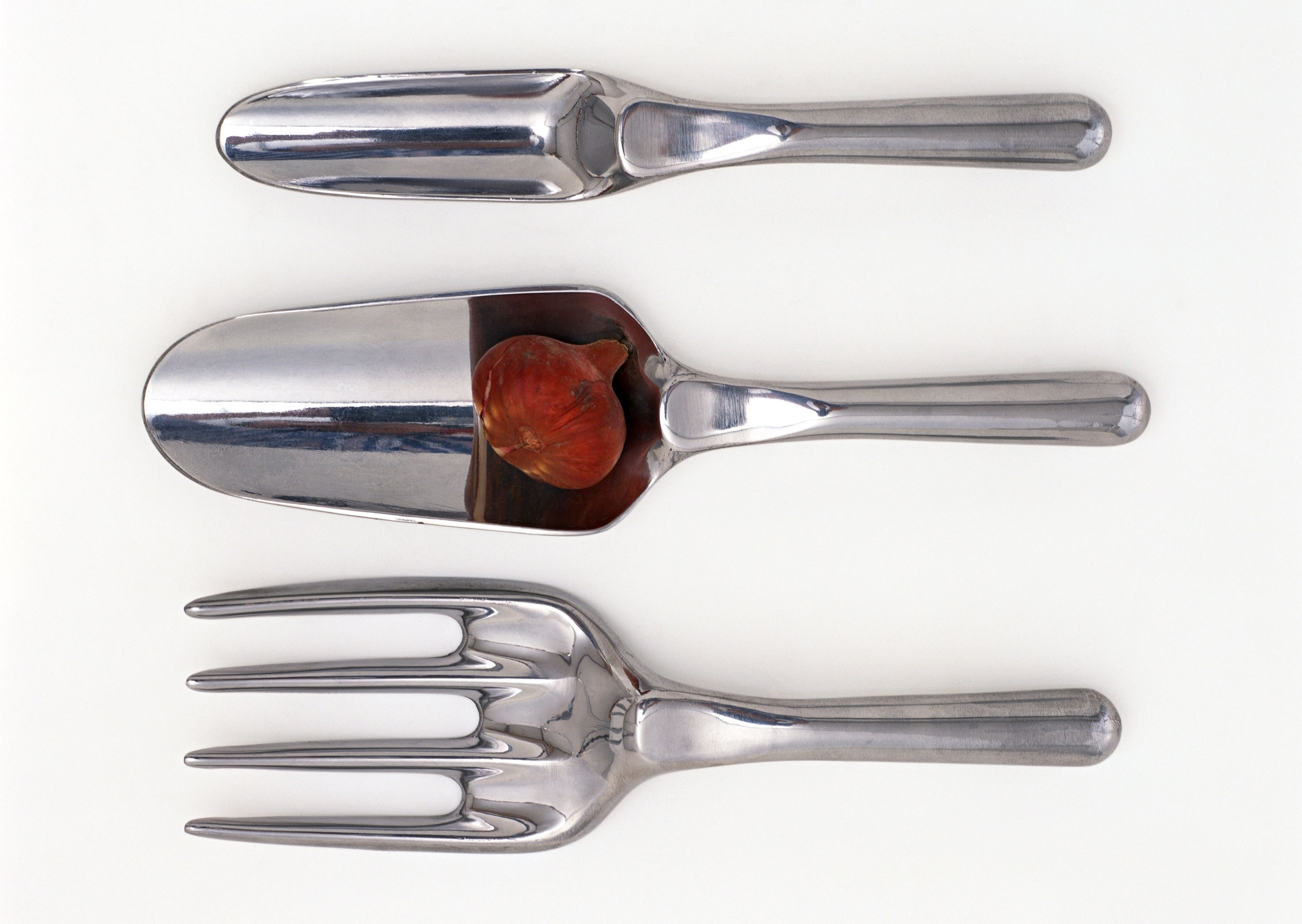 Metal garden tools with onion