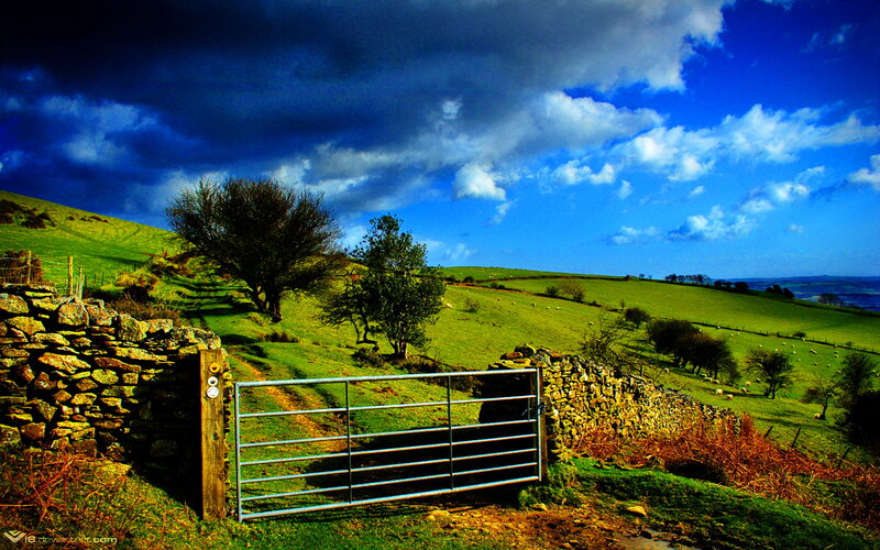 Metal Gate in Field