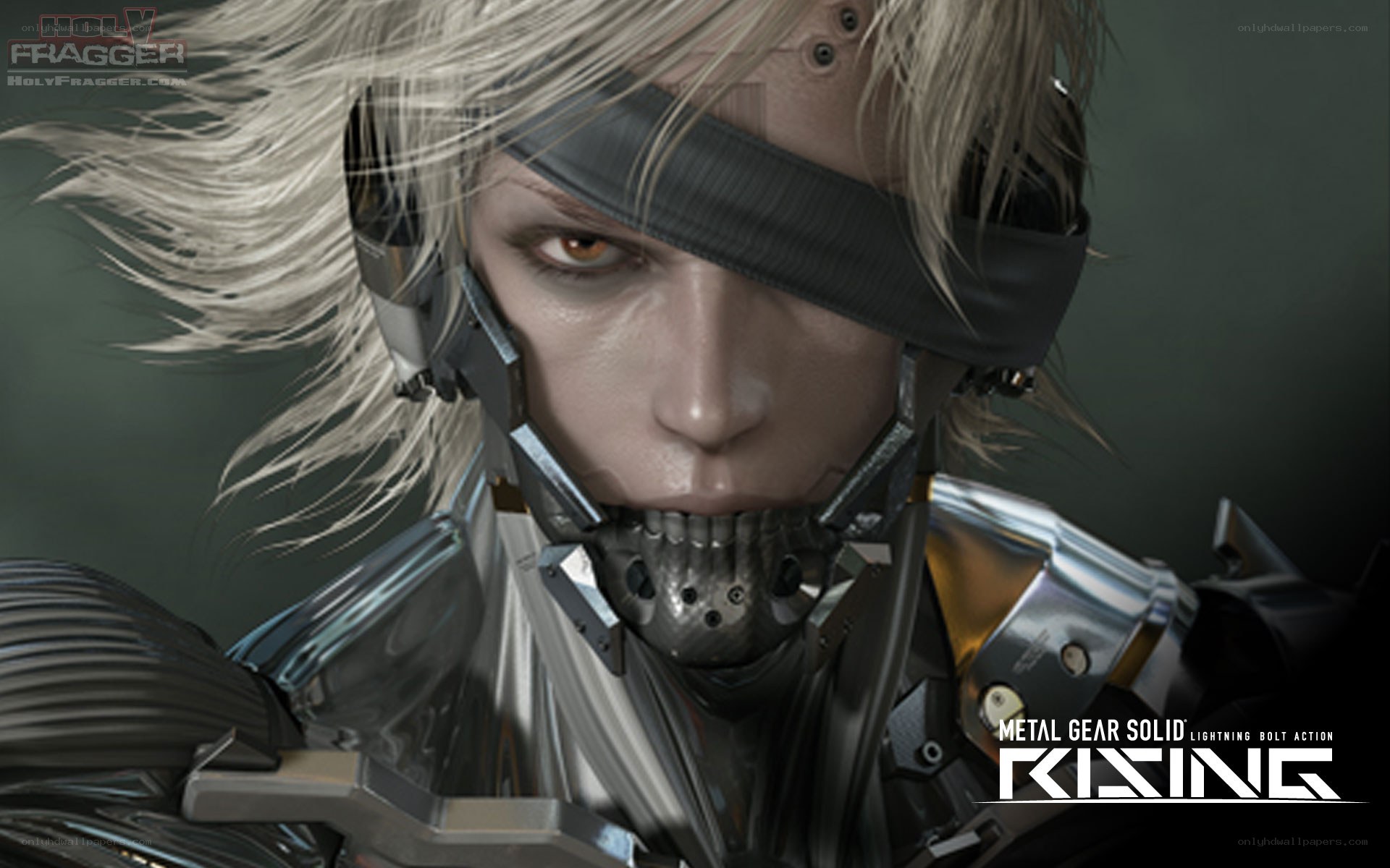 Metal Gear Rising character portrait