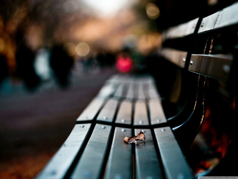 Metal Park Bench