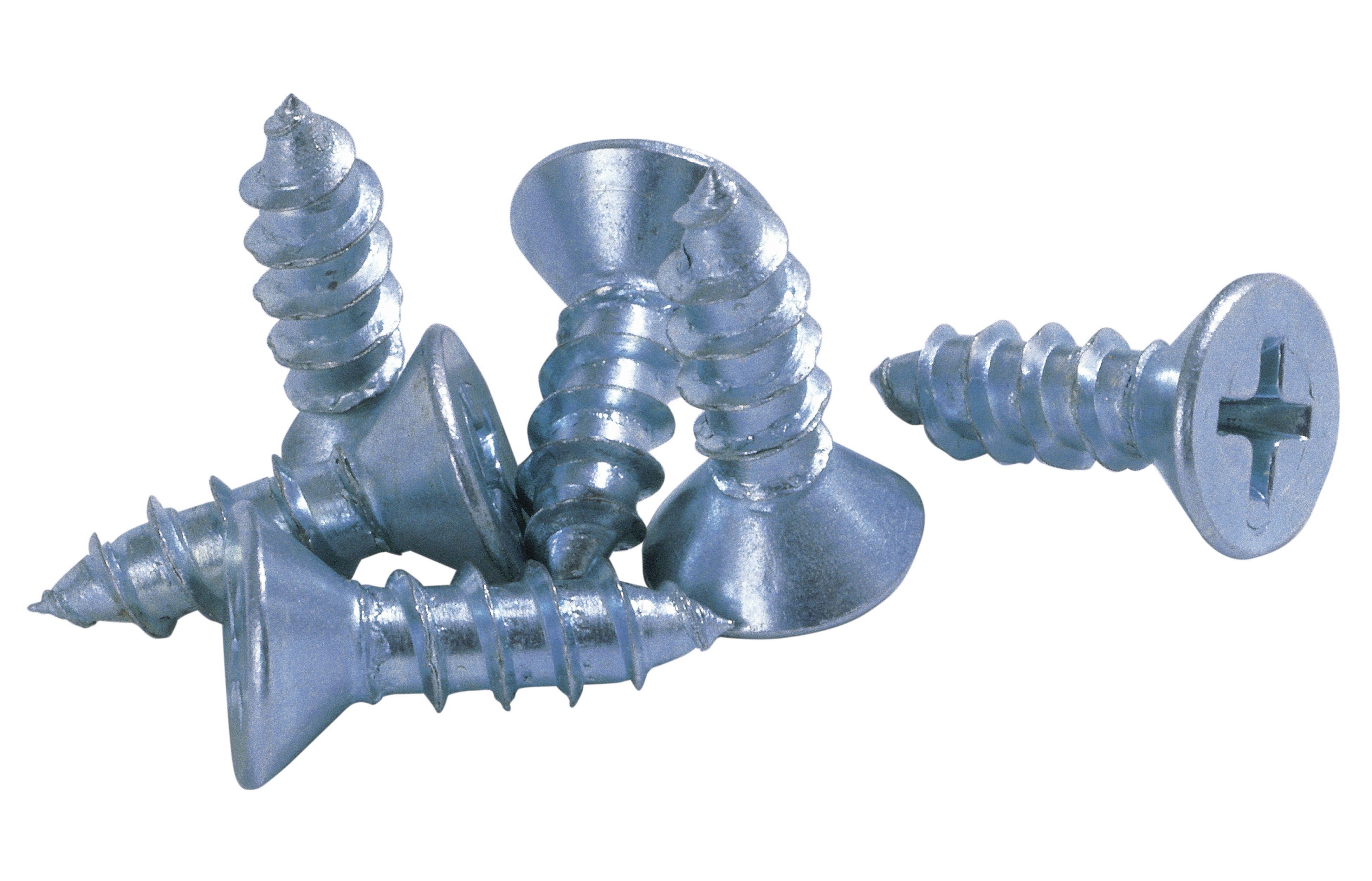 metal screws on white background