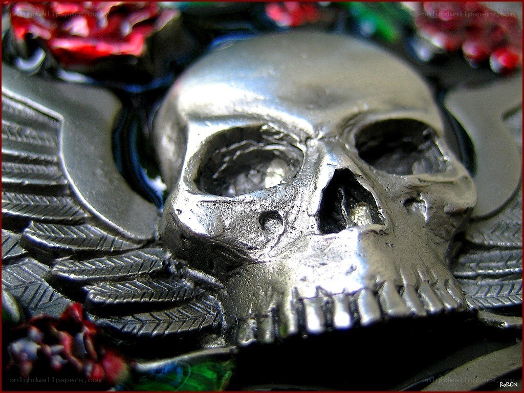 metal skull with wings