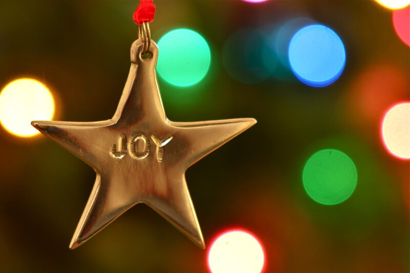 Metal Star Ornament