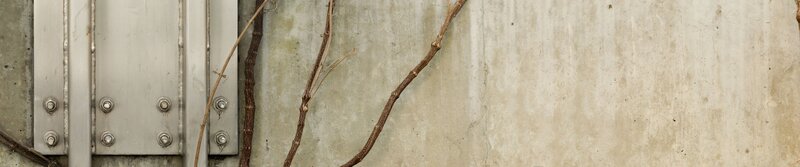 metal structure with vines