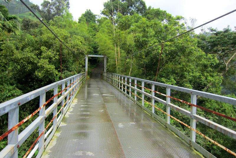 Metal Suspension Bridge