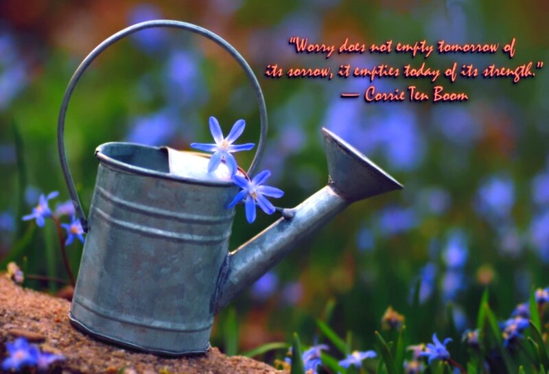 Metal Watering Can — Blue