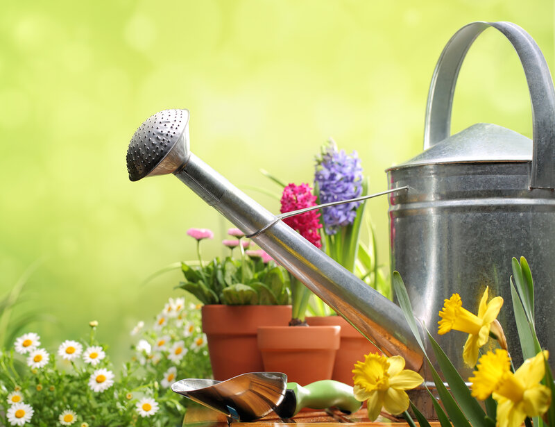 Metal Watering Can — Green