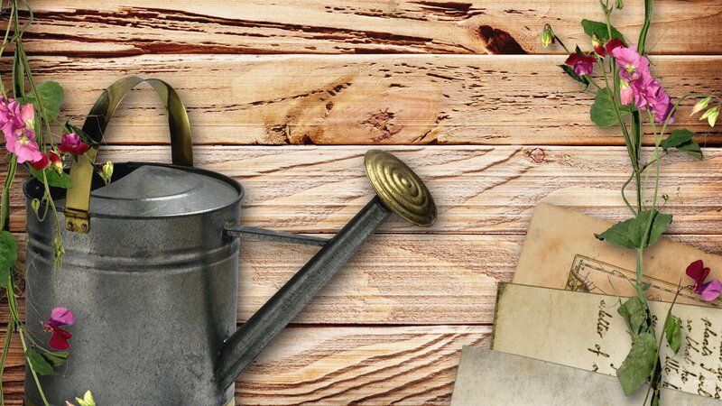 Metal Watering Can