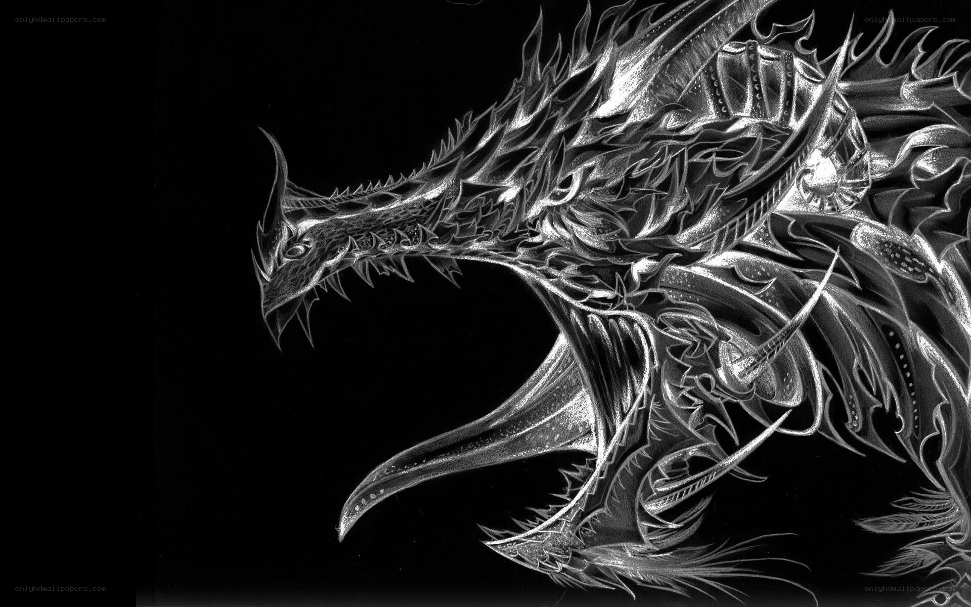 metallic dragon artwork