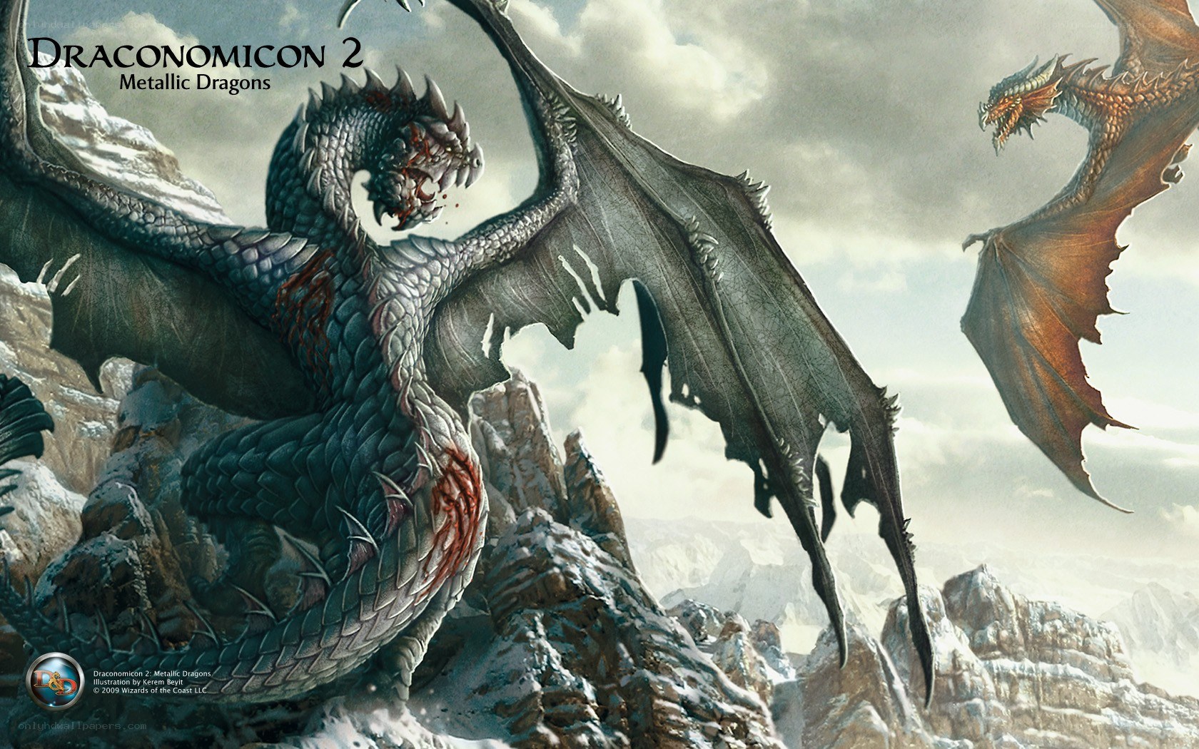 Metallic dragons in battle