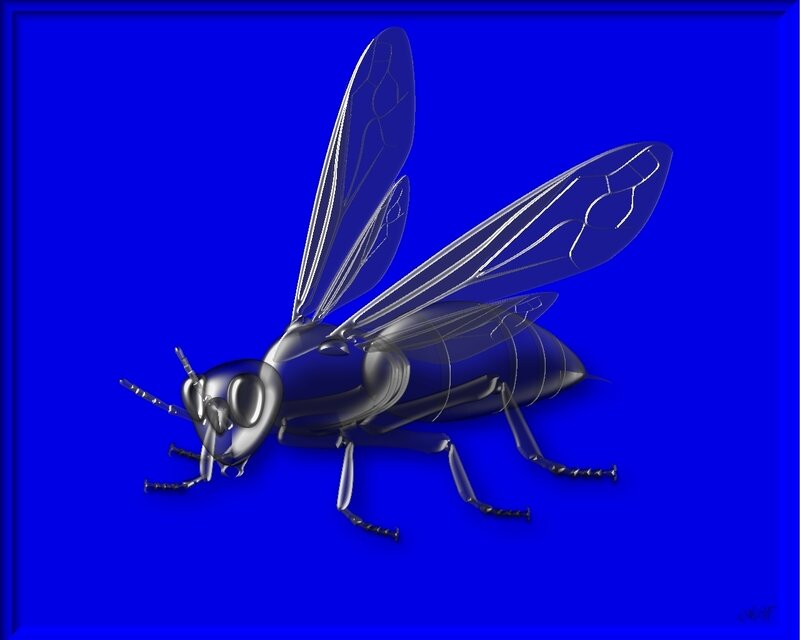 Metallic Fly