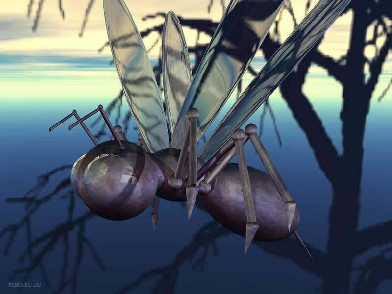 metallic insect in flight