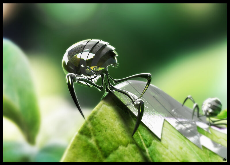 Metallic insect on a leaf