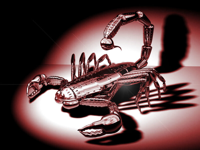metallic scorpion sculpture