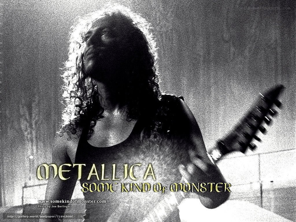 Metallica band member performing