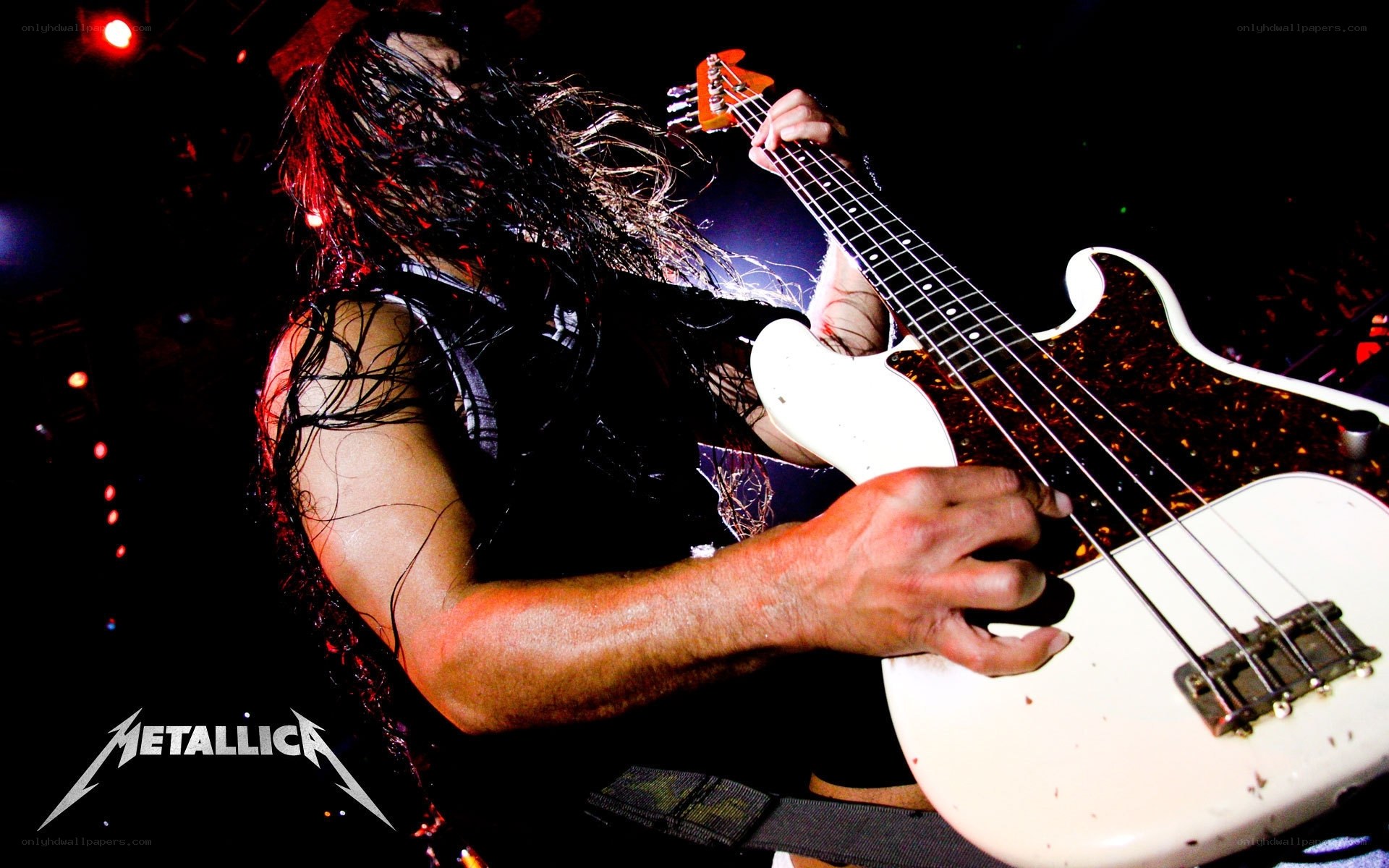 Metallica bassist performing