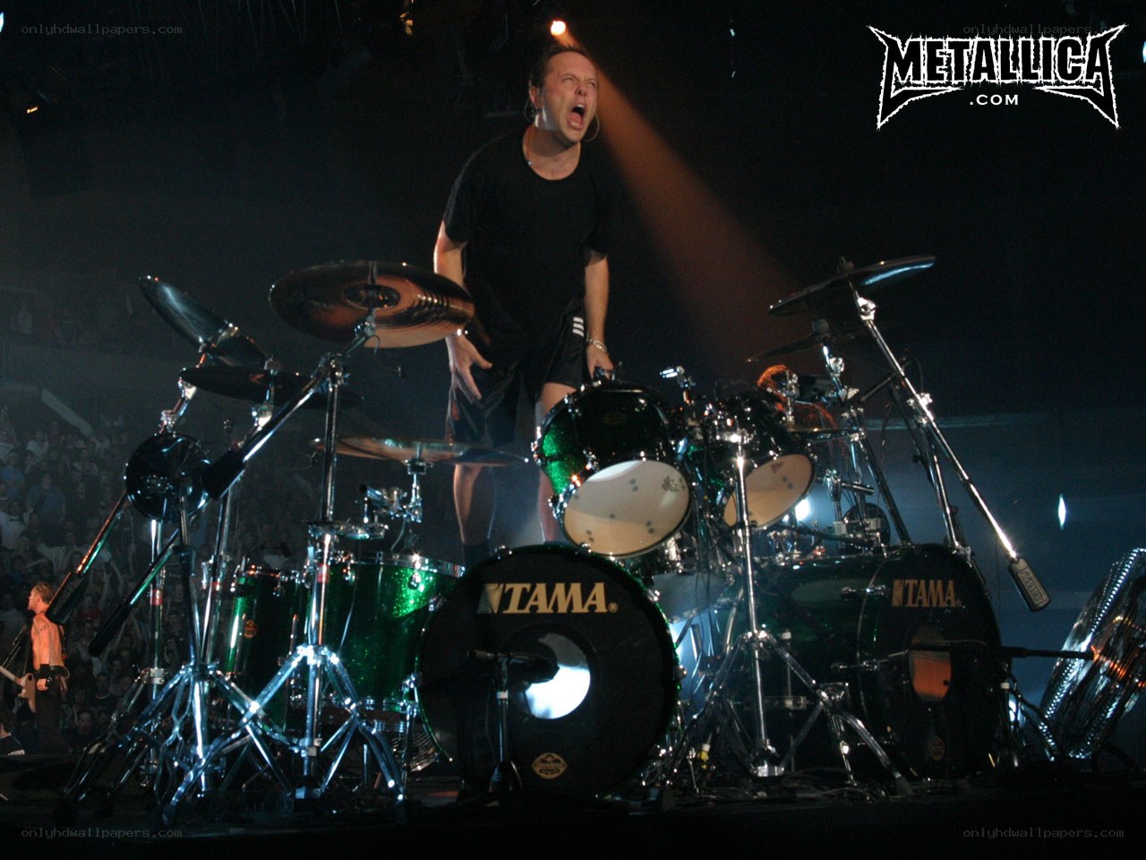 Metallica concert performance