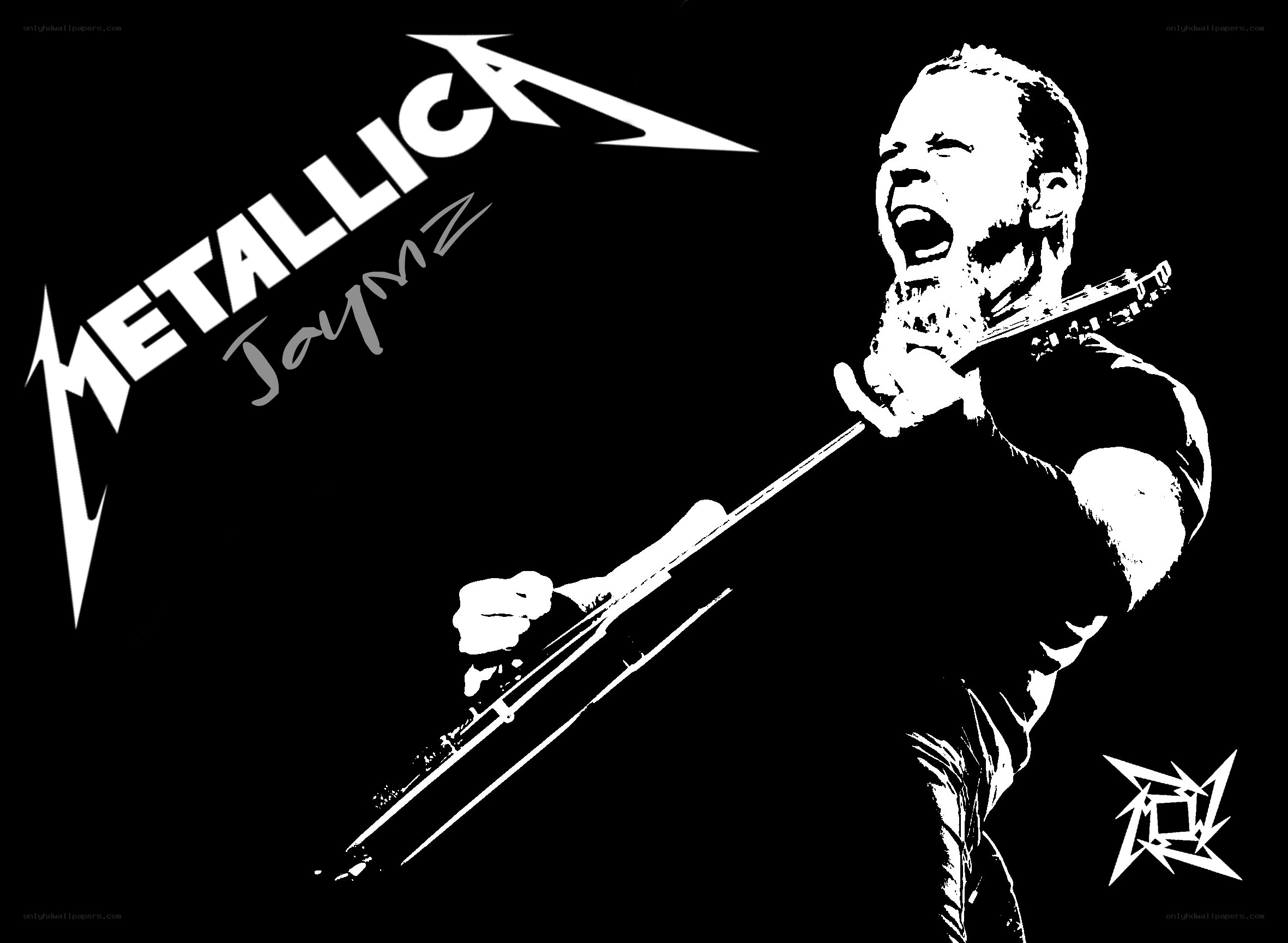 Metallica concert performance
