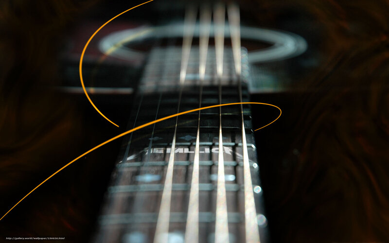 Metallica guitar fretboard