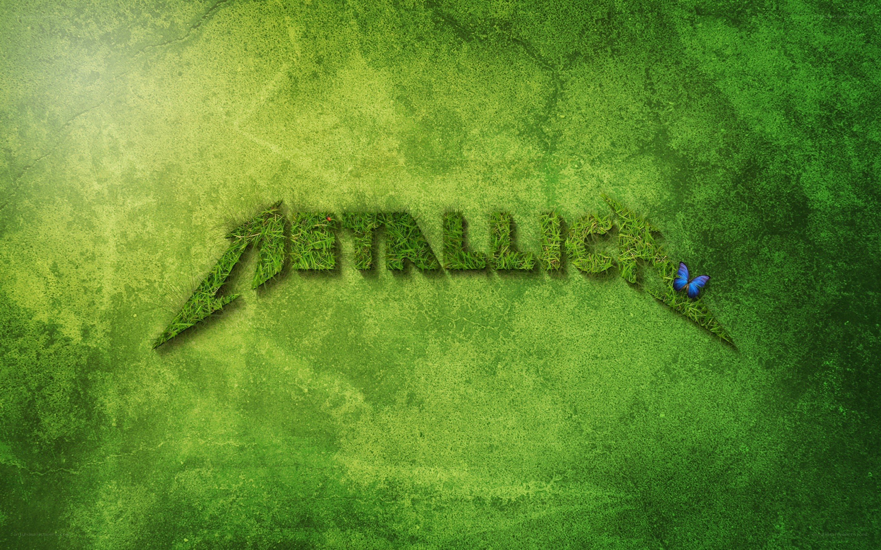 Metallica logo on grass