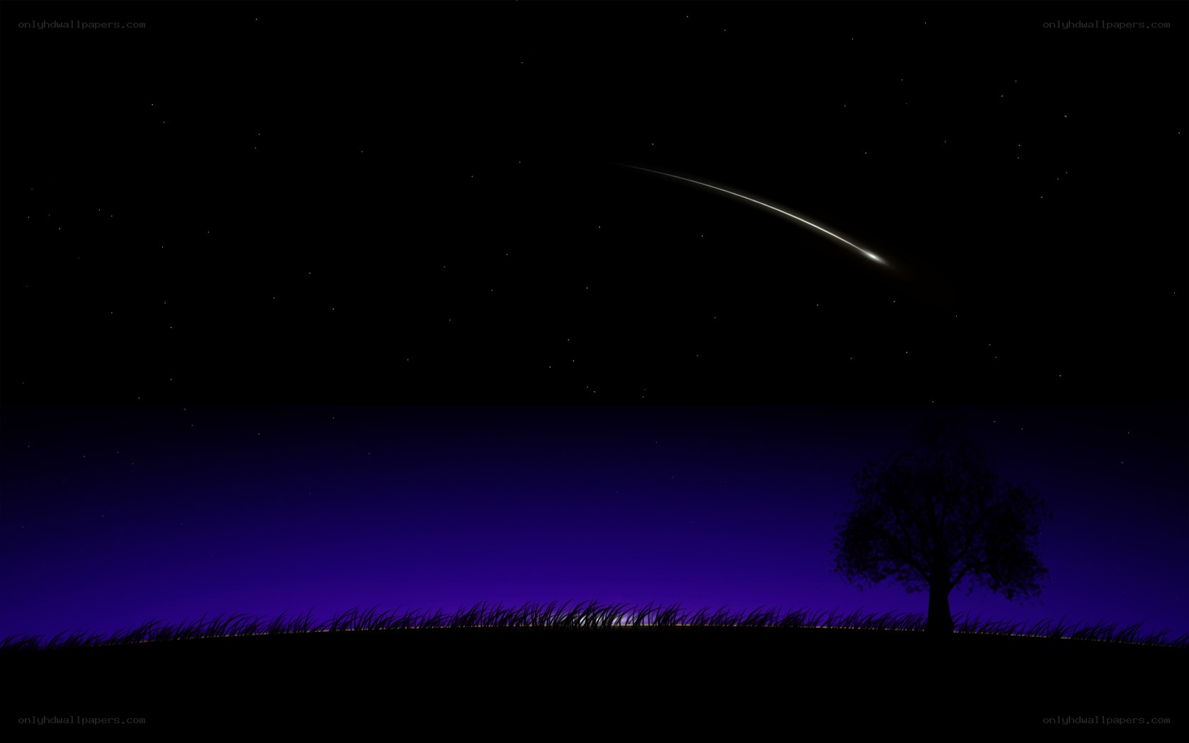 Meteor over a lone tree