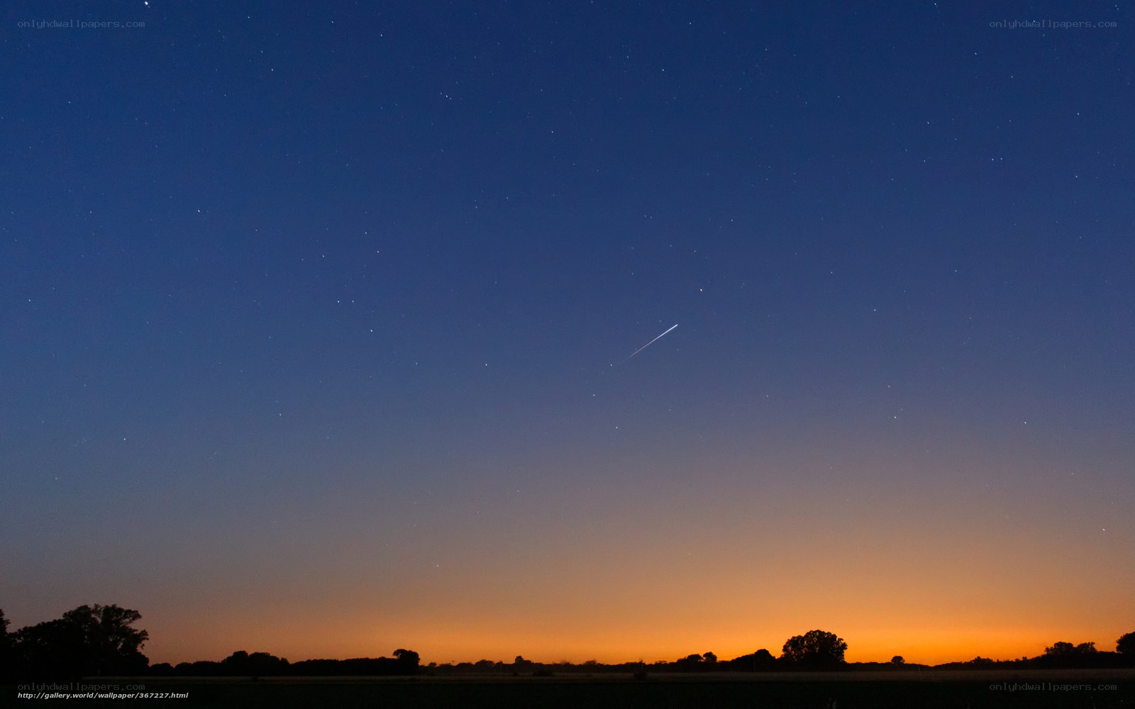 Meteor over a starry night