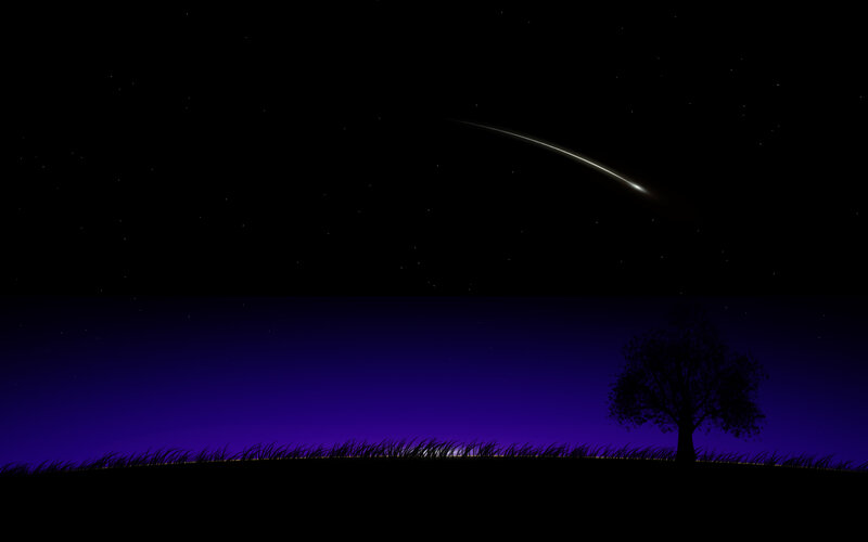 Meteor over a tree at night