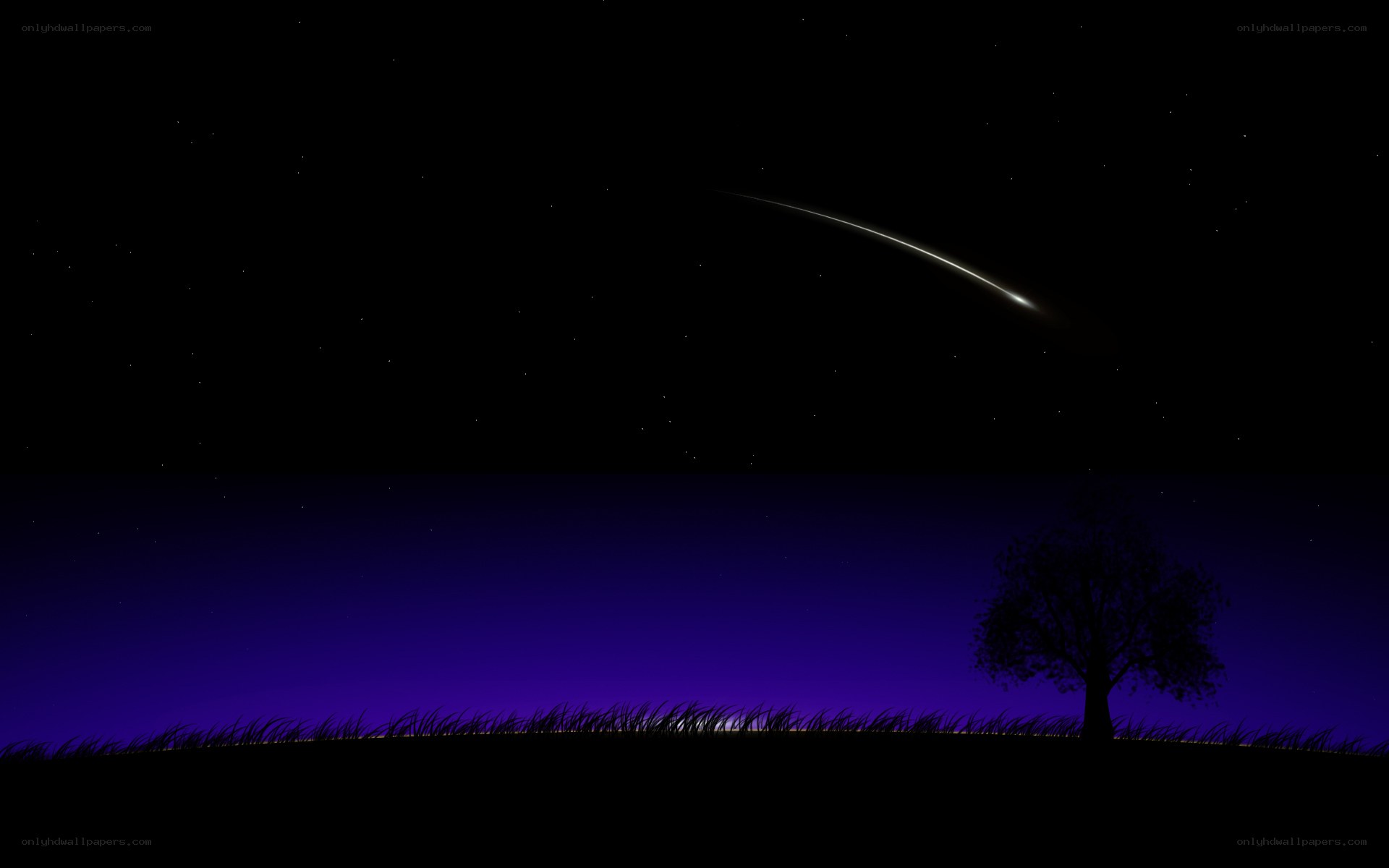 Meteor over a tree at night