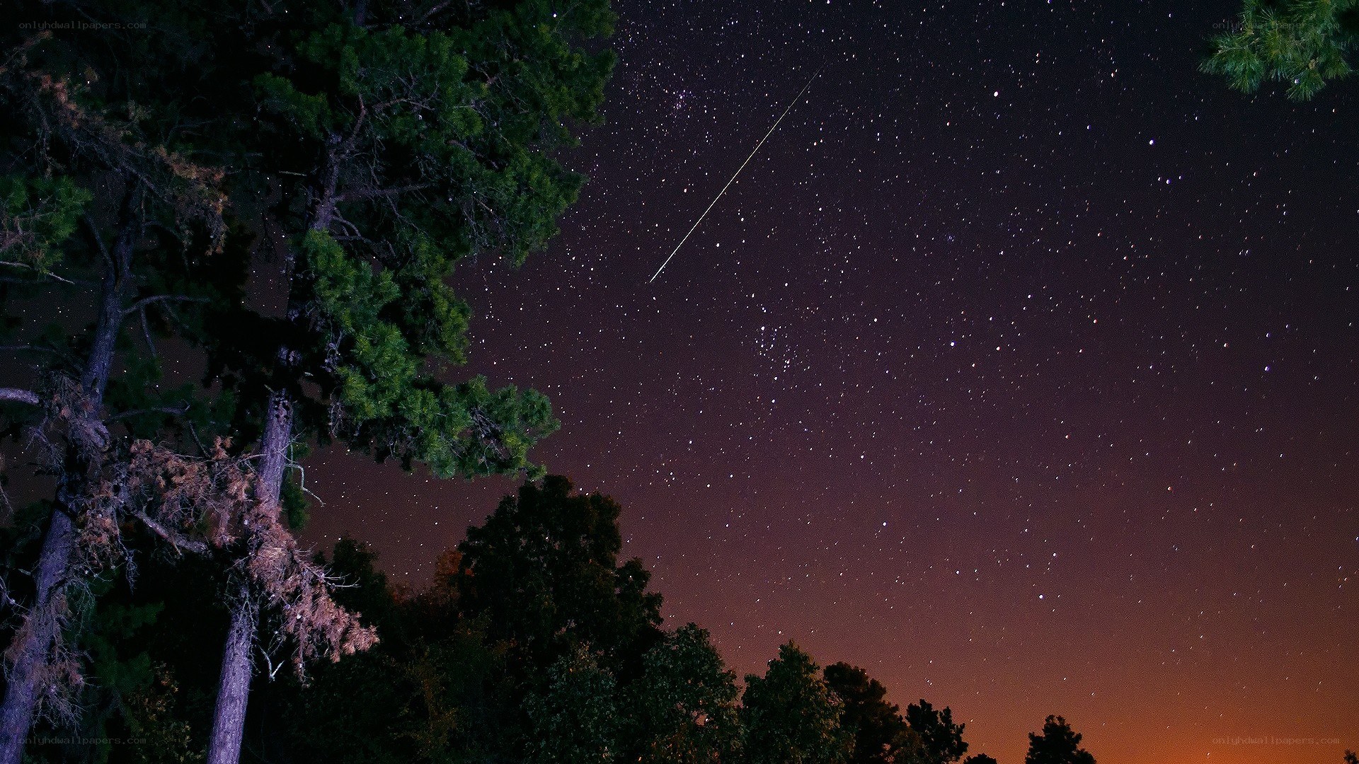 Meteor over forest at night