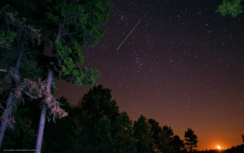 Meteor over forest at night