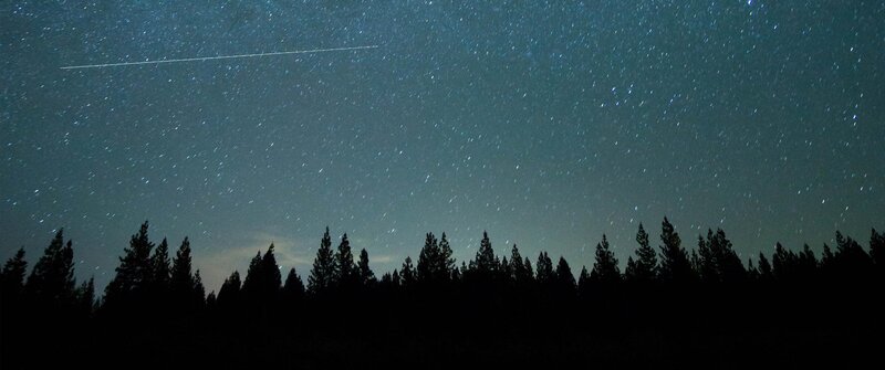 Meteor over Forest — Black, Serene