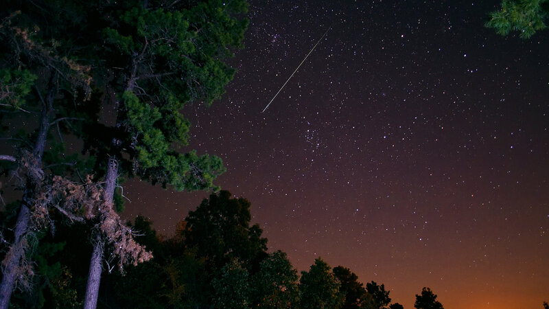 Meteor over Forest — Black