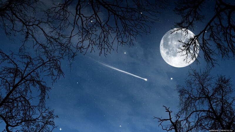 Meteor over Full Moon — Blue, Serene, Night, Digital Art, Stars, Tree Branches, Black
