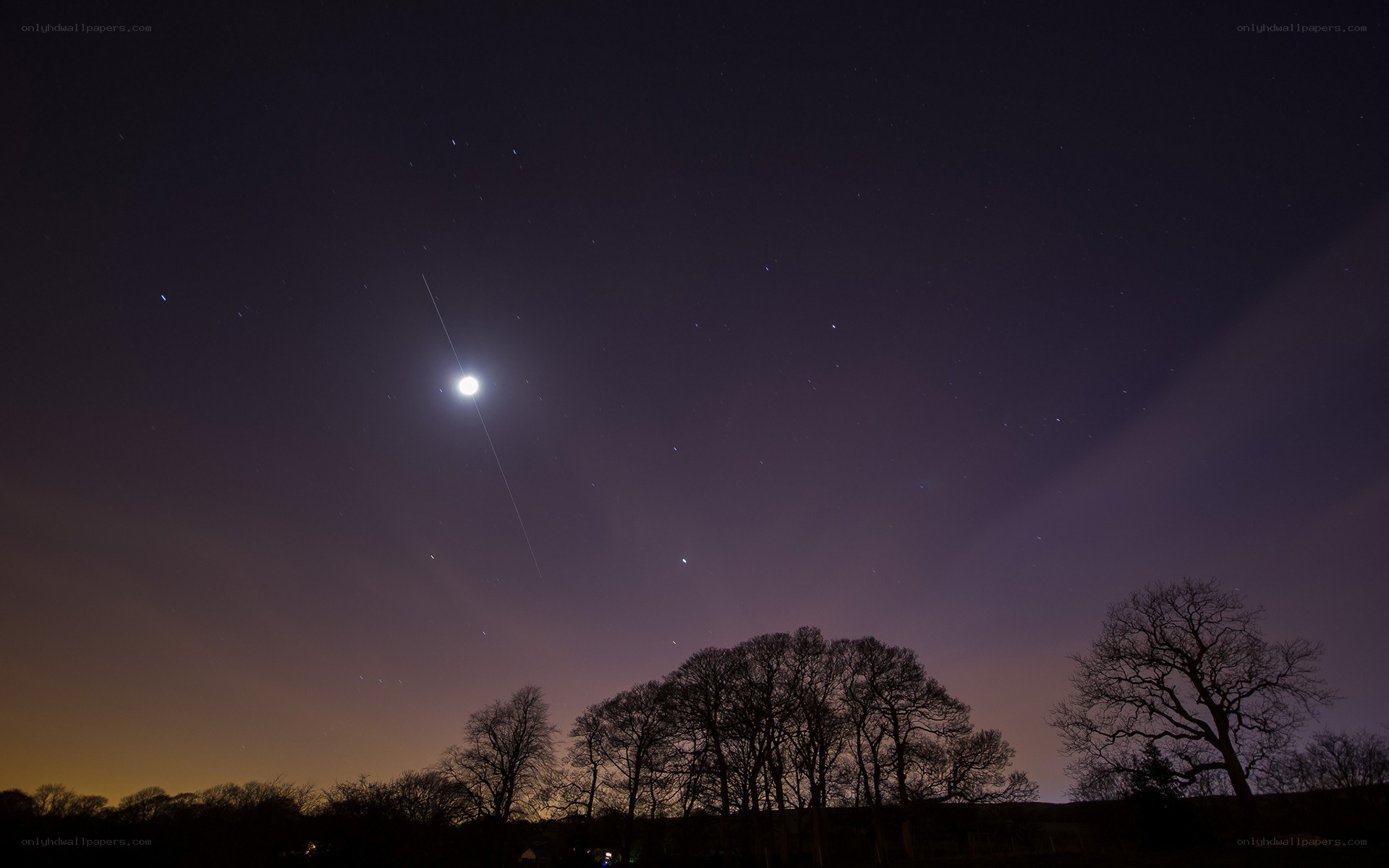 Meteor over silhouetted trees