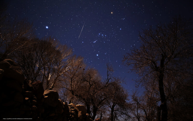 Meteor over starry night