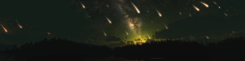 Meteor shower over forest