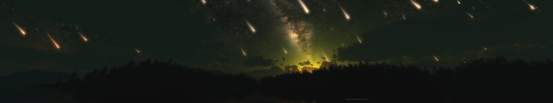 Meteor Shower over Forest — Black