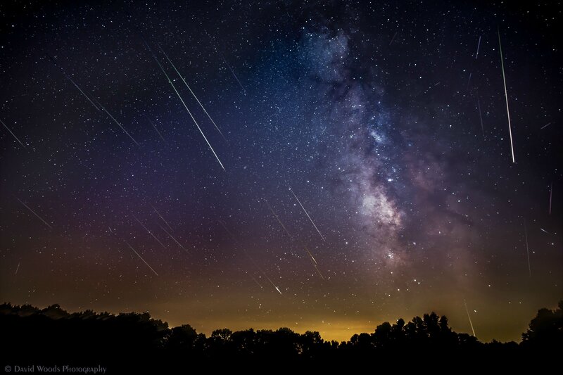 Meteor Shower over Trees