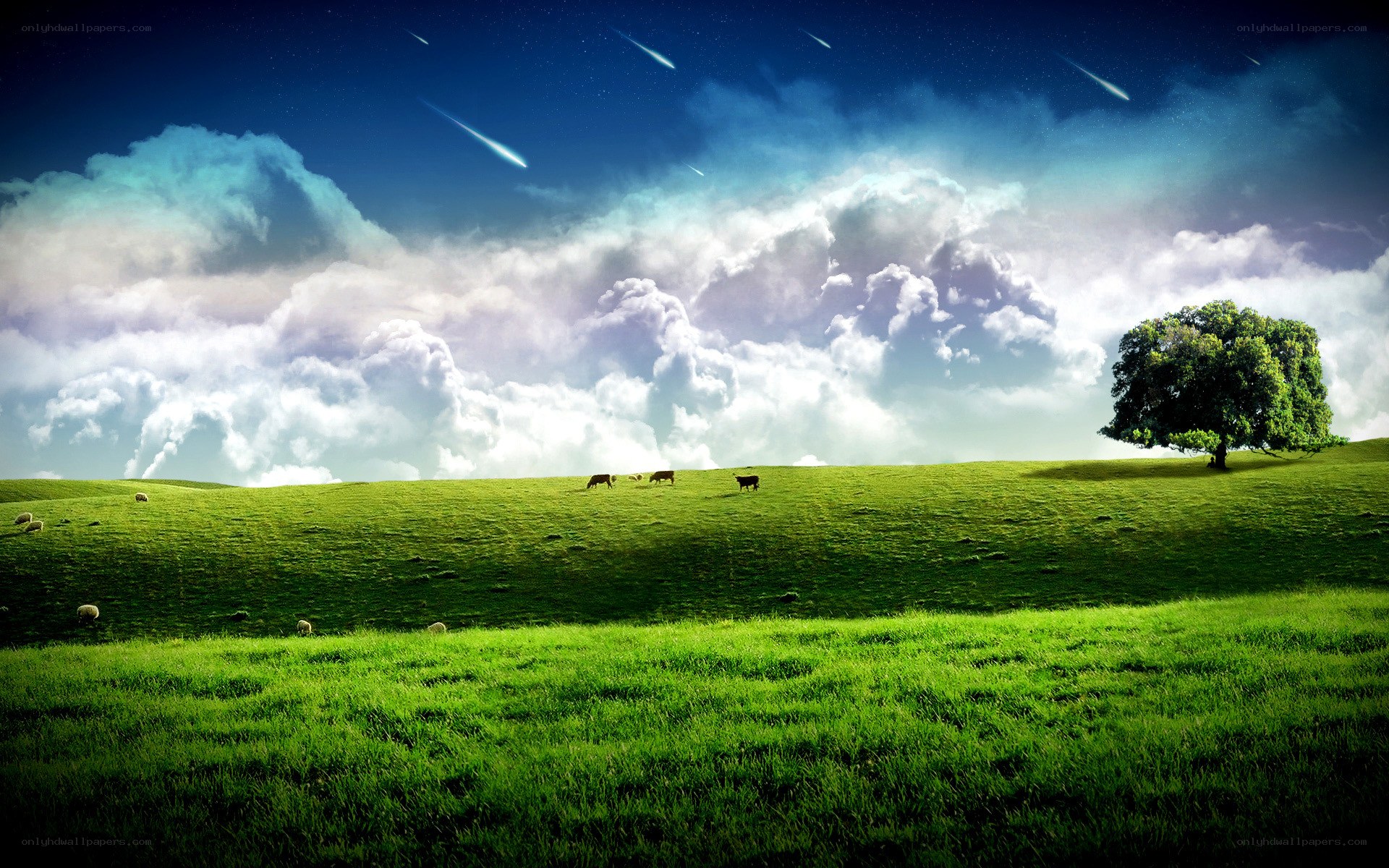 Meteors over a green field