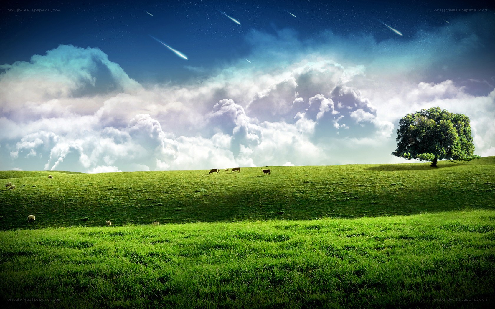 Meteors over a green field