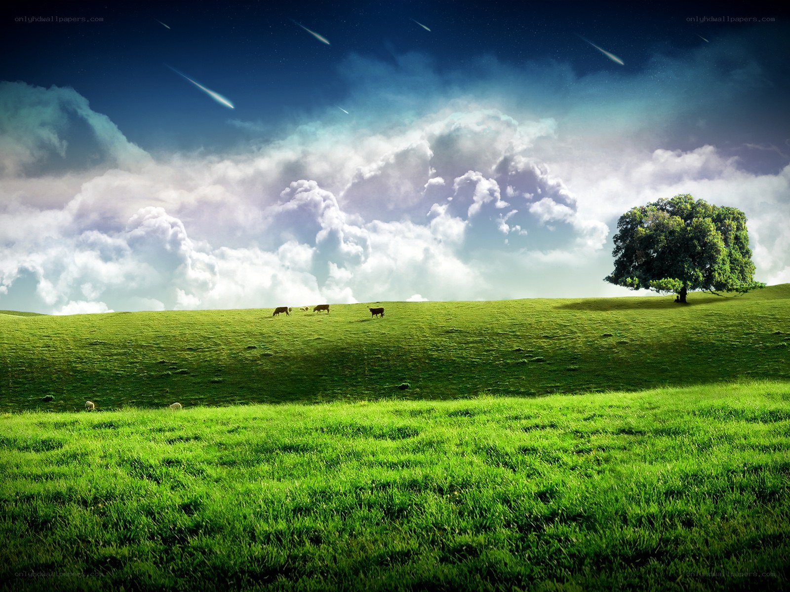Meteors over a green field